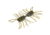 Strike King Sexy Bug Softbait, 6 pack, 2in, Blue Craw, 12-36351