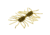 Strike King Sexy Bug Softbait, 6 pack, 3in, Green Pumpkin, 12-36361