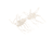 Strike King Sexy Bug Softbait, 6 pack, 3in, Pearl Flash, 12-36365