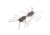 Strike King Sexy Bug Softbait, 6 pack, 3in, Smoke Purple Black Flake, 12-36366