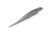 Strike King Spotlight Shim-E Minnow Softbait, 6 pack, 5in, Carolina Chrome, 12-36032