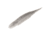 Strike King Spotlight Shim-E Minnow Softbait, 6 pack, 5in, Crystal Flash, 12-36043