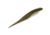 Strike King Spotlight Shim-E Minnow Softbait, 6 pack, 5in, Slick, 12-36038