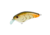 Strike King Strike King Hardliner Crankbaits, Bone Craw, 7/16oz, HCHLNR-351
