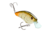 Strike King Strike King Hardliner Crankbaits, Bone Craw, 7/16oz, HCHLNR-351