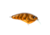 Strike King Strike King Hardliner Crankbaits, Brown Gourd, 7/16oz, HCHLNR-587