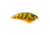 Strike King Strike King Hardliner Crankbaits, Green Gourd, 7/16oz, HCHLNR-621