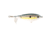 Strike King Patroller 60 Hard Bait