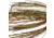 Strike King Two-Time Spinnerbait