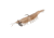 Strike King Tidal Shrimp Fishing Lure, Pre-rigged Soft Plastic Shrimp Bait, Durable Mesh Tail, 2/0 Single Hook, 3 1/2in, 1/4oz, Dishwasher Glitter, PRSSW3-553