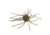 Strike King Tumbleweed Salted Softbait, 4 pack, 3in, Green Pumpkin, 12-36258