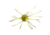 Strike King Tumbleweed Salted Softbait, 4 pack, 3in, Summer Craw, 12-36256