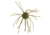 Strike King Tumbleweed Salted Softbait, 4 pack, 3in, Watermelon Red Flake, 12-36262