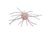 Strike King Tumbleweed Salted Softbait, 4 pack, 3in, White Sauce, 12-36254