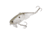 Strike King Wake Shad Topwater Baits, Green Gizzard Shad, 1oz, HCWS2-568