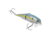 Strike King Wake Shad Topwater Baits, Sexy Shad 2.0, 1oz, HCWS2-591