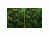 Sun Joe 10-Inch 8-Amp Electric Pole Chain Saw, Green SWJ803E