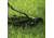 Sun Joe 18 inch Quad-Wheel, 5-Position, Razor Sharp Cutting Blade, Silent Push Reel Mower, Green MJ1800M