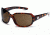 Suncloud Cookie Sun Glasses, Tortoise Frame, Brown Polarized Reader Lens