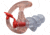 Surefire EP4 Sonic Defender Plus Clear Earpiece - Small, 25 Pairs EP4-SPR-BULK