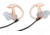 Surefire Sonic Defender Max EP5 Hearing Protectors, Small, Clear, Pair of 25 EP5-SPR-BULK
