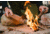 Survive Outdoors Longer Camp Ready Kit, Various, 0140-1622