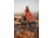 Survive Outdoors Longer Escape Insulated Blanket, Orange, 0140-2001