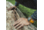 Suunto Spartan Trainer Wrist HR Sports Watch, Amber SS023408000
