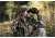 Swarovski 8x42 SLC Wide Angle Binoculars 58305
