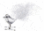 Swarovski Winter Bird