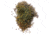 Swiss Advance HERBOLUX Spice Mix