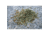 Swiss Advance HERBOLUX Spice Mix