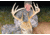 Sykd Hunt Endurance Fixed Blade 100 grain Broadheads, 3 pack, Black, Small, AA0001