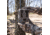 Tactacam Reveal Cellular Trail Camera, AT&amp;T, TA-TC-RATT