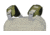 Tactical Tailor Modular Plate Carrier Shoulder Pads, Olive Drab, 22003-1