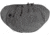 Tasmanian Tiger Hip Bag MKII, Carbon, TT-7954-043