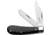 Taylor's Eye Witness Twin Blade Slip Joint Black, TEW2077