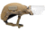 Team Wendy EXFIL Face Shield, Coyote Brown, Medium/Large, 76-VRT-CB1