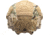Team Wendy Helmet Cover for EXFIL Carbon w/ Rail 3.0, Multicam, Extra Large, 71-MHC3-MC-2