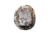 Teesar CIV-TEC Phantomleaf Trilam. Boonie Hat, WASP I Z1B, Extra Large, 12326065-905