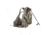 Tenzing TZ TR18 Turkey Recliner, Mossy Oak BU Country TNZBP3001