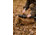 Tenzing Tzw 1500 Whitetail Day Pack, 1500 cubic in, Buckskin Tan, TZG-TNZW-1500-BST