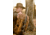 Tenzing Tzw 1500 Whitetail Day Pack, 1500 cubic in, Buckskin Tan, TZG-TNZW-1500-BST