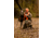 Tenzing Tzw 1500 Whitetail Day Pack, 1500 cubic in, Olive Green, TZG-TNZW-1500-OG