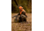 Tenzing Tzw 1500 Whitetail Day Pack, 1500 cubic in, Olive Green, TZG-TNZW-1500-OG