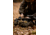 Tenzing Tzw 1500 Whitetail Day Pack, 1500 cubic in, Olive Green, TZG-TNZW-1500-OG