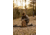 Tenzing Tzw Whitetail Day Pack, 2100 cubic in, Buckskin Tan, TZG-TNZW-2100-BST