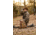 Tenzing Tzw Whitetail Day Pack, 2100 cubic in, Buckskin Tan, TZG-TNZW-2100-BST