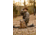 Tenzing Tzw Whitetail Day Pack, 2100 cubic in, Buckskin Tan, TZG-TNZW-2100-BST