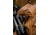 Tenzing Tzw Whitetail Day Pack, 2100 cubic in, Buckskin Tan, TZG-TNZW-2100-BST